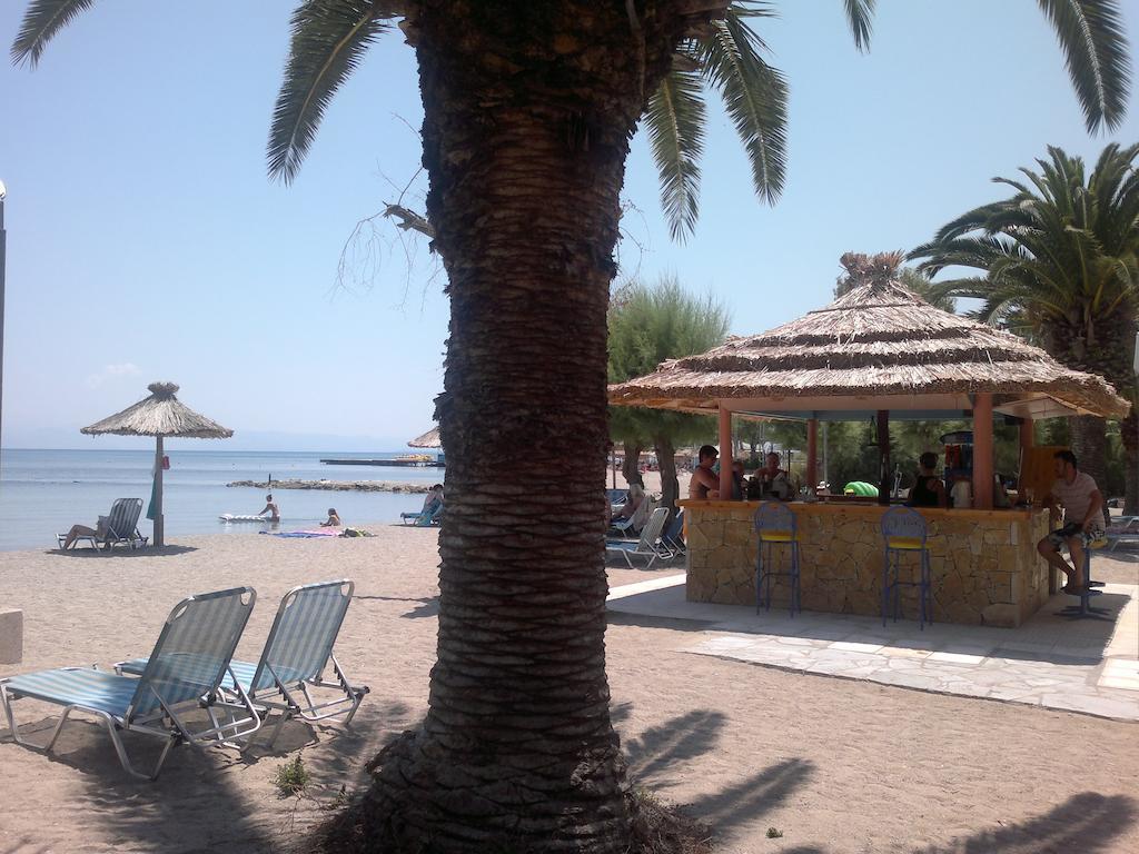 Three Stars Hotel 2*